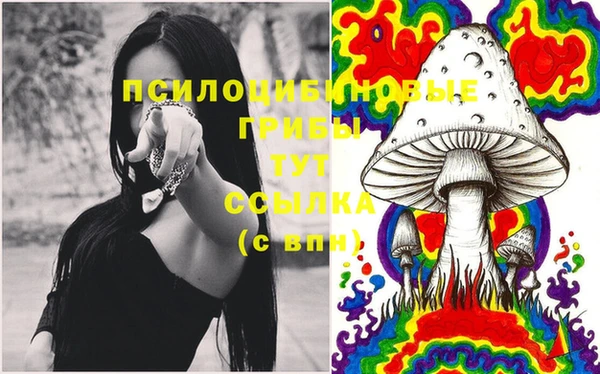 соль ск Аркадак